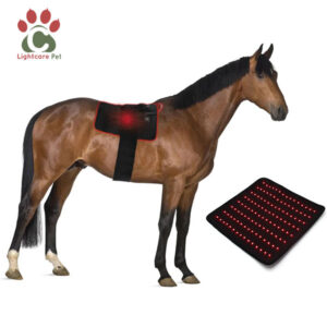 Pătură de terapie cu lumină roșie pentru cai
