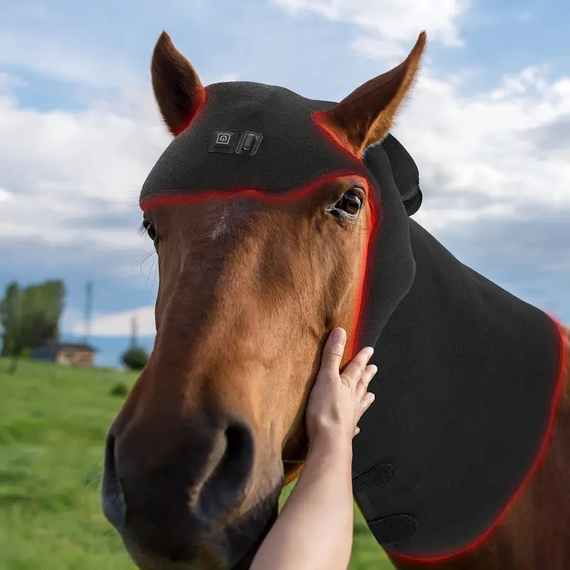 rood licht therapie voor paarden